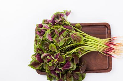 苋菜:餐桌上的减肥明星,看完这些,你还想挑食吗?_的作用_时候_功效