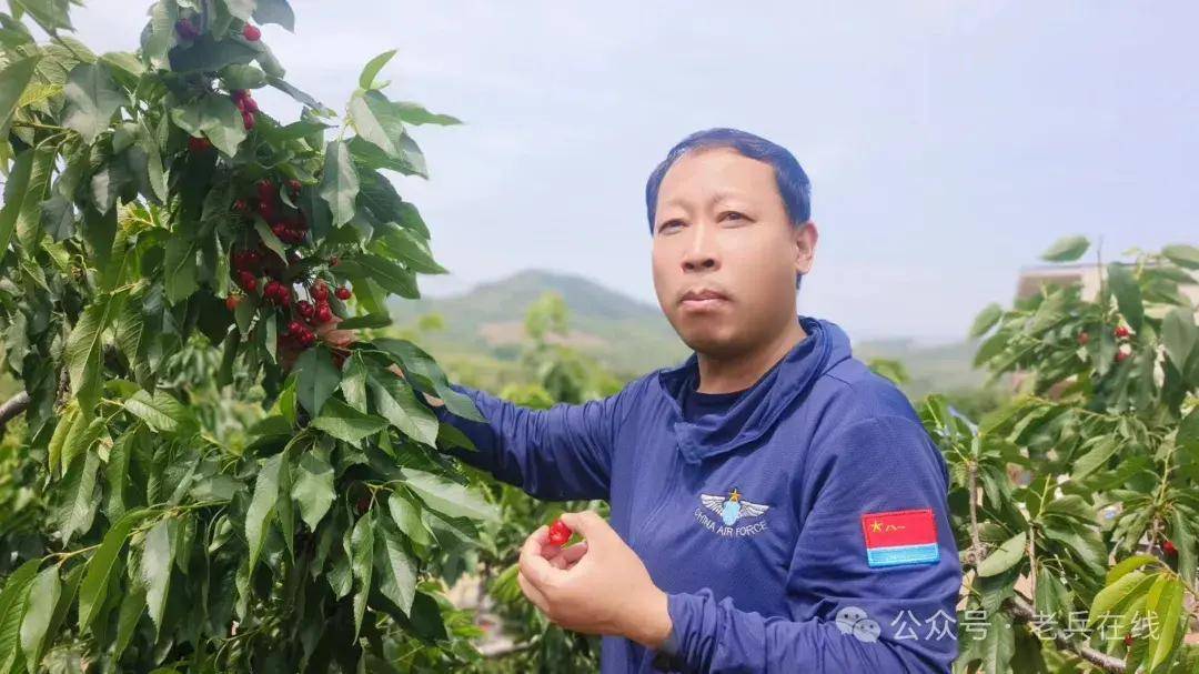 老兵在线沂南行:走进双堠镇五道沟