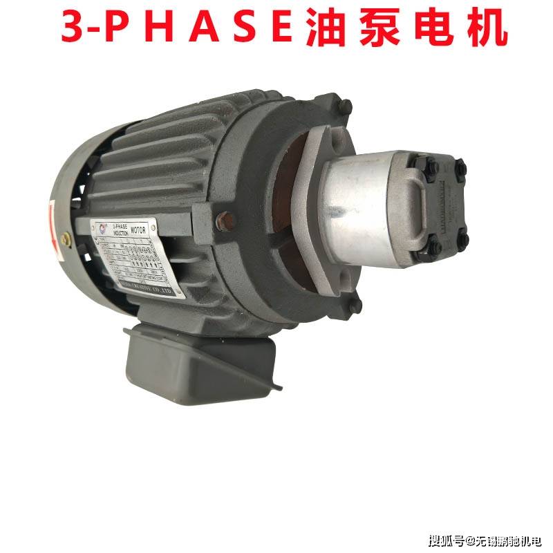 台湾群策sy液压油泵内轴电机常规-电机3hp-4级