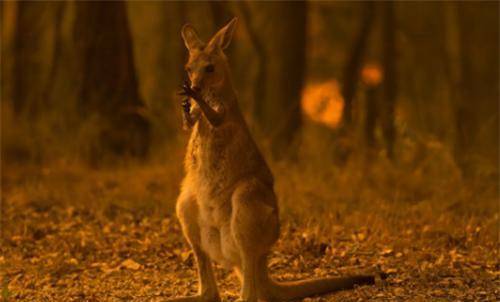 火灾暴风往往都会造成巨大的灾难,而人们往往在那一天都会起一个名字