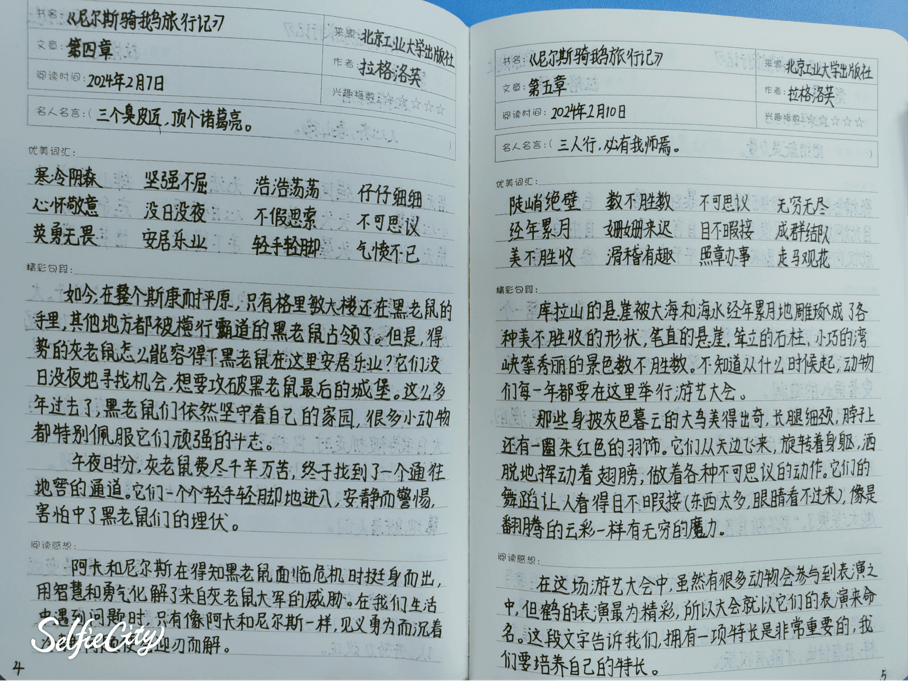 读书笔记小学生100字图片