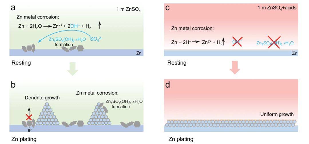 他,博士毕业三年即任c9教授,时隔2月,再发nature子刊