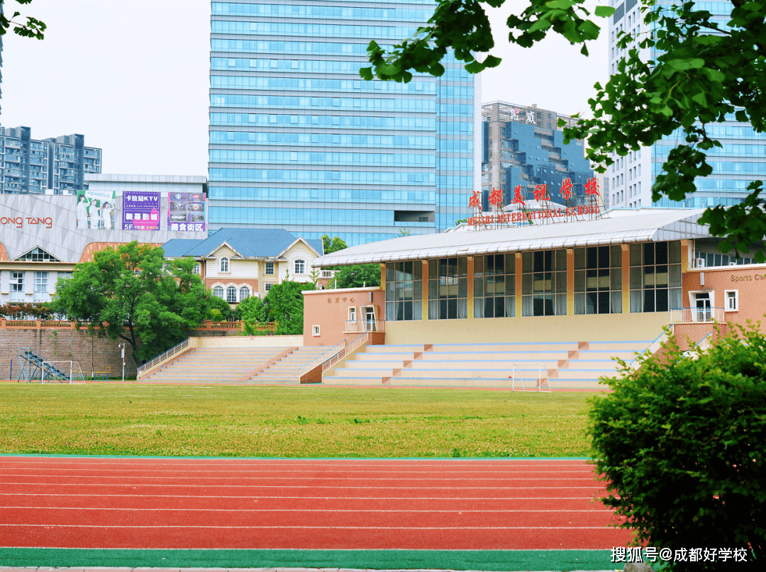 成都美视学校2024招生简章出炉,学费不变_教育_年级_国际