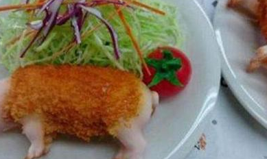   引起 闺蜜去一家日本餐厅吃饭，服务员直接端上一碗“小猪猪”转身就走。 