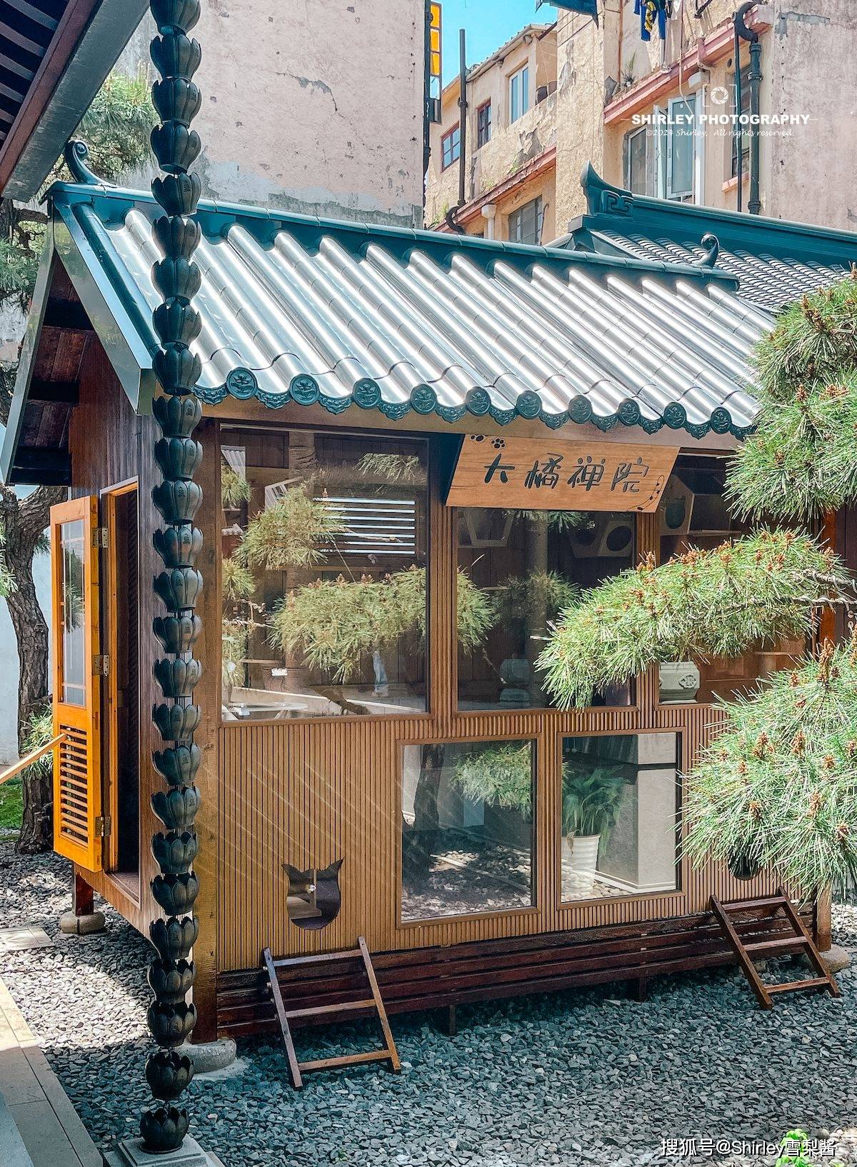 不过没见到玉佛寺网红猫"释大橘"在里面,先前自由惯了的它更喜欢在