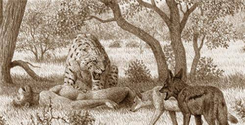 人类真是食物链顶端没天敌吗?专家指出一动物,差点吃光人类祖先