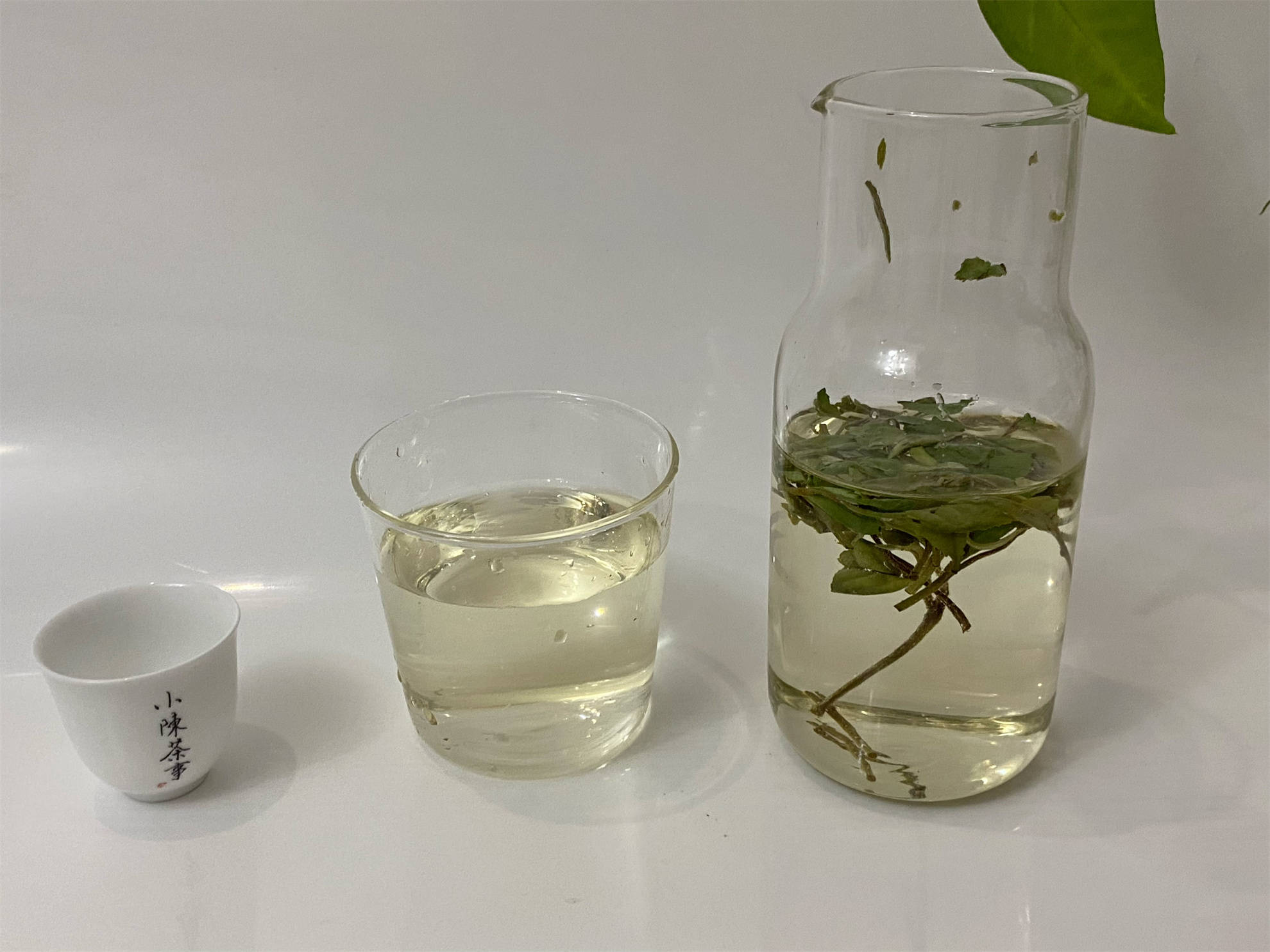 入夏以后每天一杯冷泡茶?当心含泪吃下"教训",真是毁茶又伤身