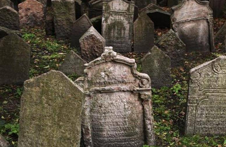 1986年,男子打死73条毒蛇,后遭毒蛇"追杀"5年,最终命丧蛇口