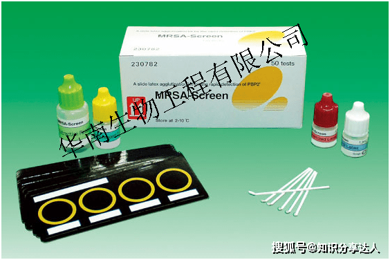 炭疽杆菌pcr检测试剂盒