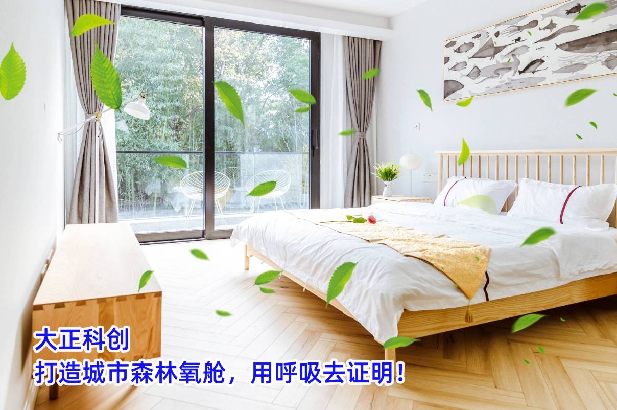 (一)_臭氧_净化_等离子