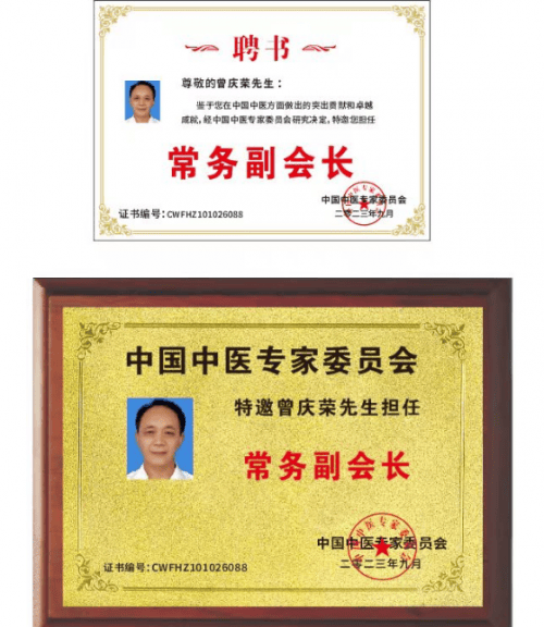 中医战略科学家——曾庆荣