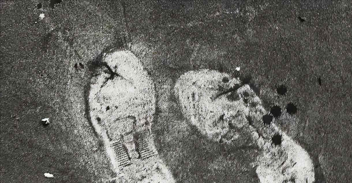 这个团伙以曹殿龙为首,他们活跃在临泉县,干尽各种坏事.