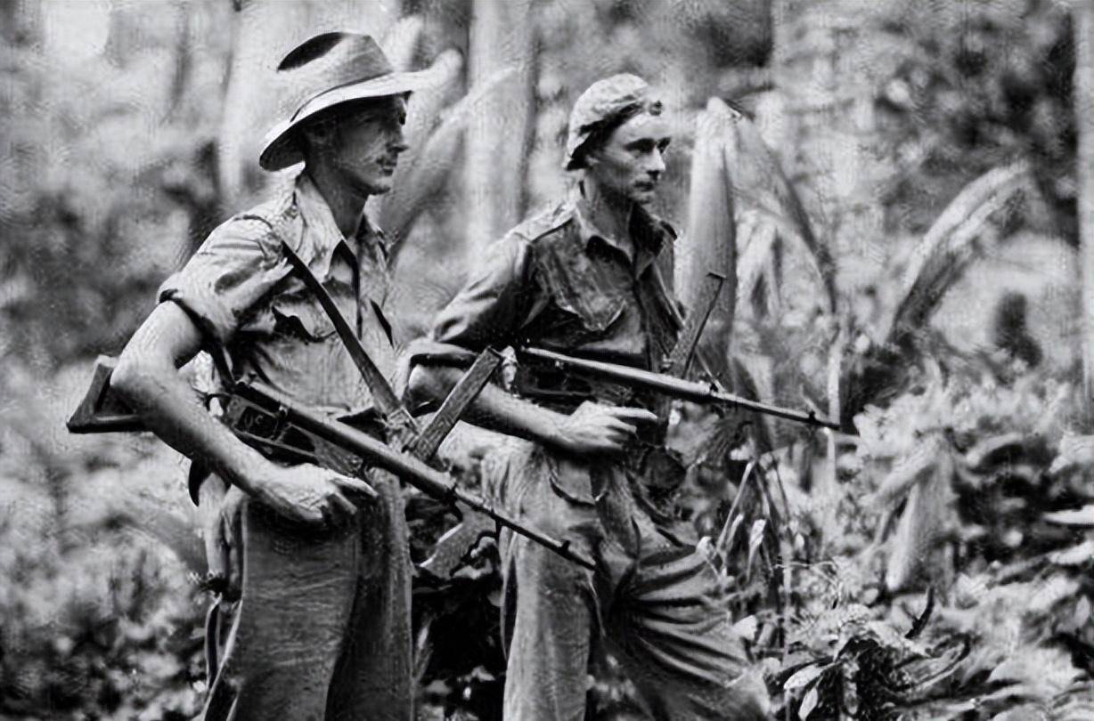 2015年,猎人发现一棵奇怪的树,观察后发现:树里竟"长"个人