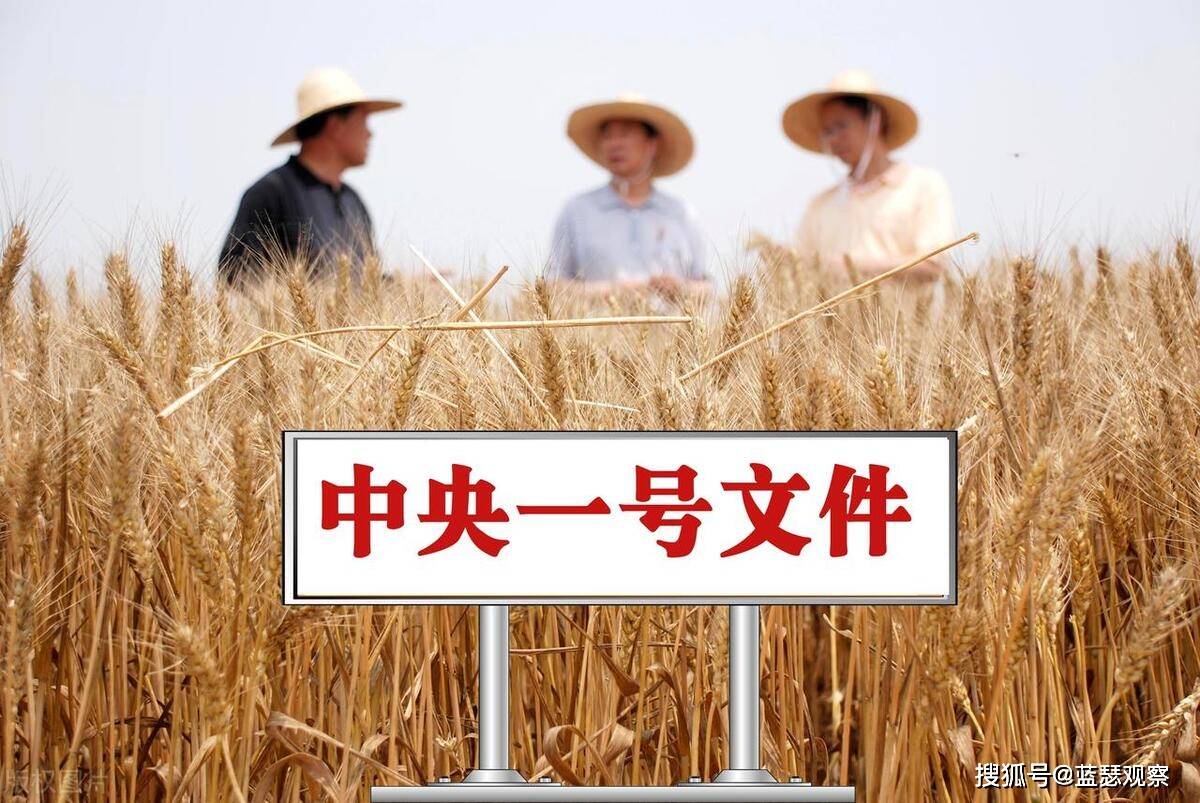 2025年农村两委即将换届:村书记,村长年龄结构限制,及其后果影响有