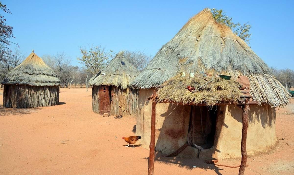 非洲奇葩部落,女人不穿上衣,三头牛娶个老婆,男人却活不过15岁_辛巴