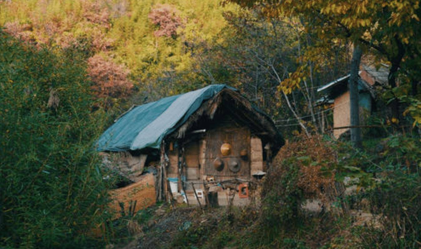 终南山隐士:万人上山的真相是为逃避工作,一场雪让其原形毕露