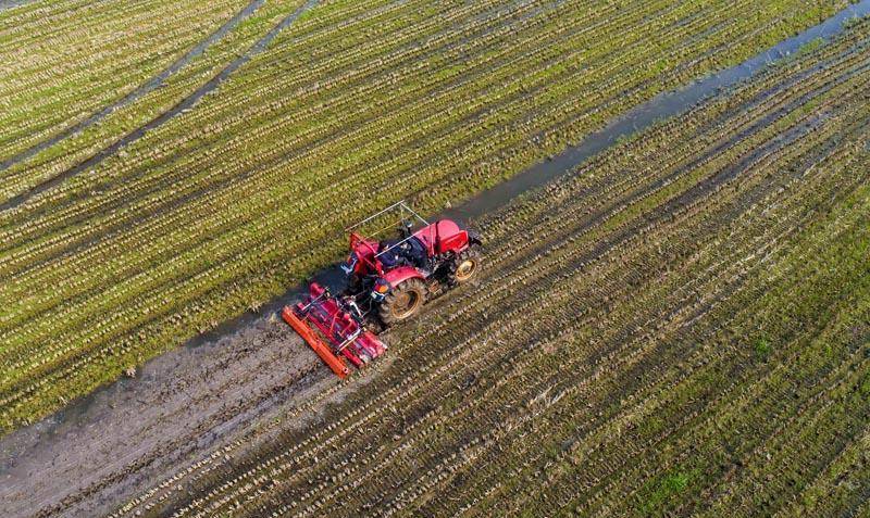 耕地_汗毛_生活