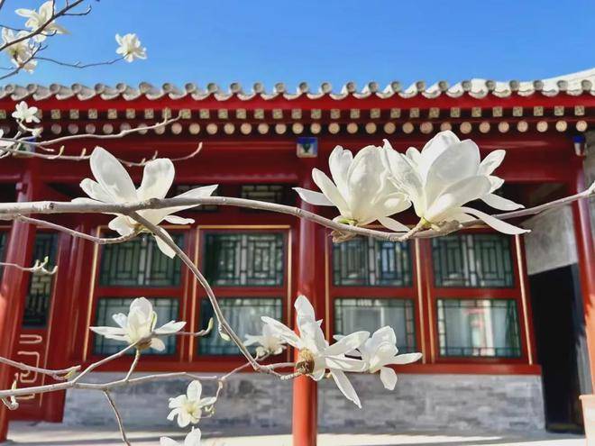 青藤访谈:互联网技术人员在bimba实现自我蜕变