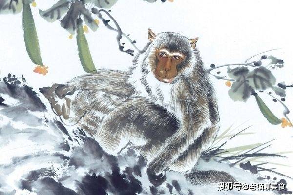 未来三个月,好运连连,三大星座贵人相伴,财源广进,万事顺利_生活_属狗