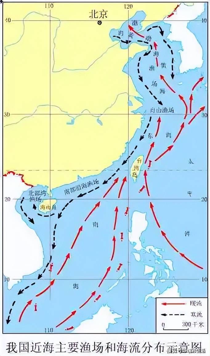 东海渔场分布图图片