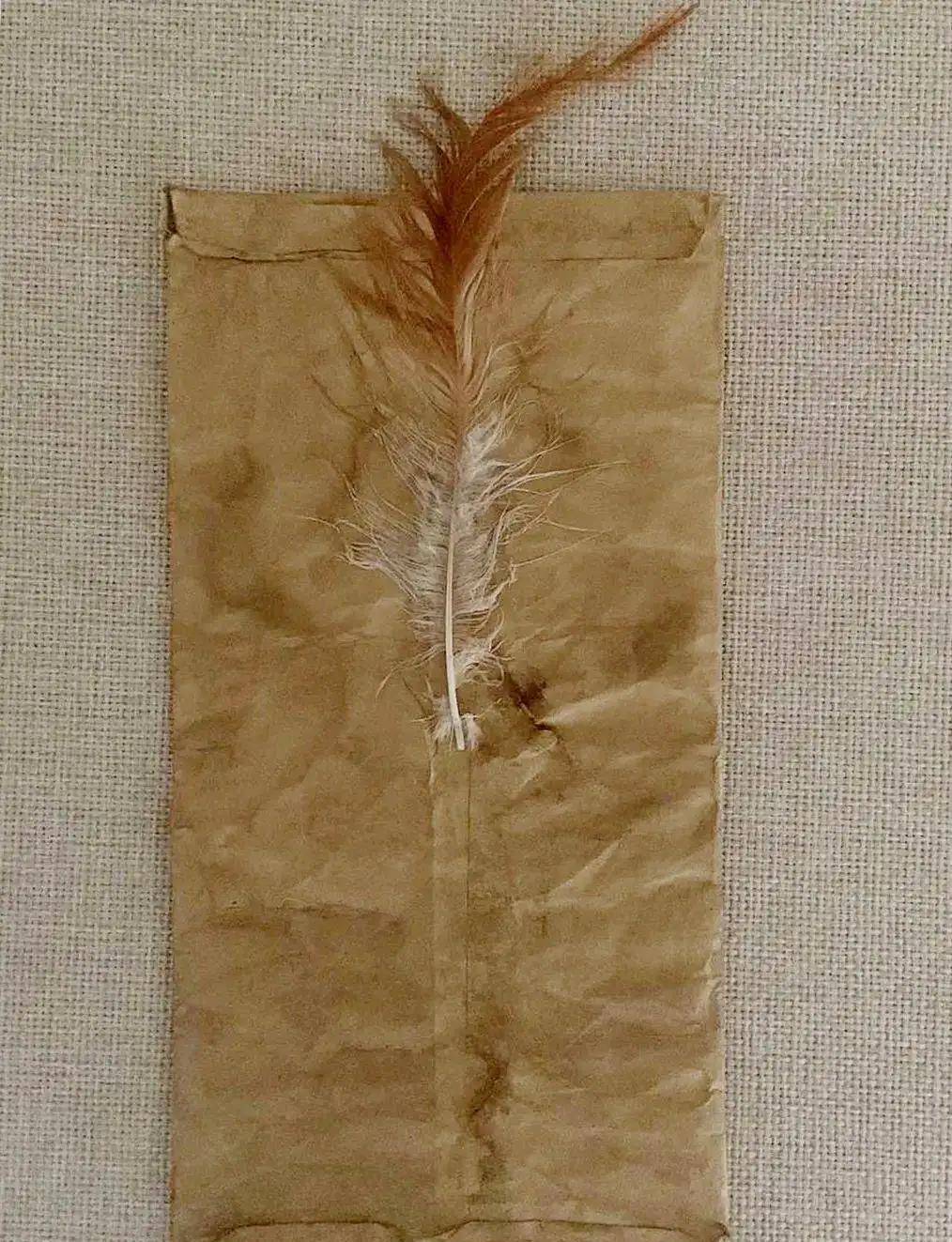 当时清朝的紧急公文,是用鸡毛作为信封的封口,也是咱们现在熟知的鸡毛