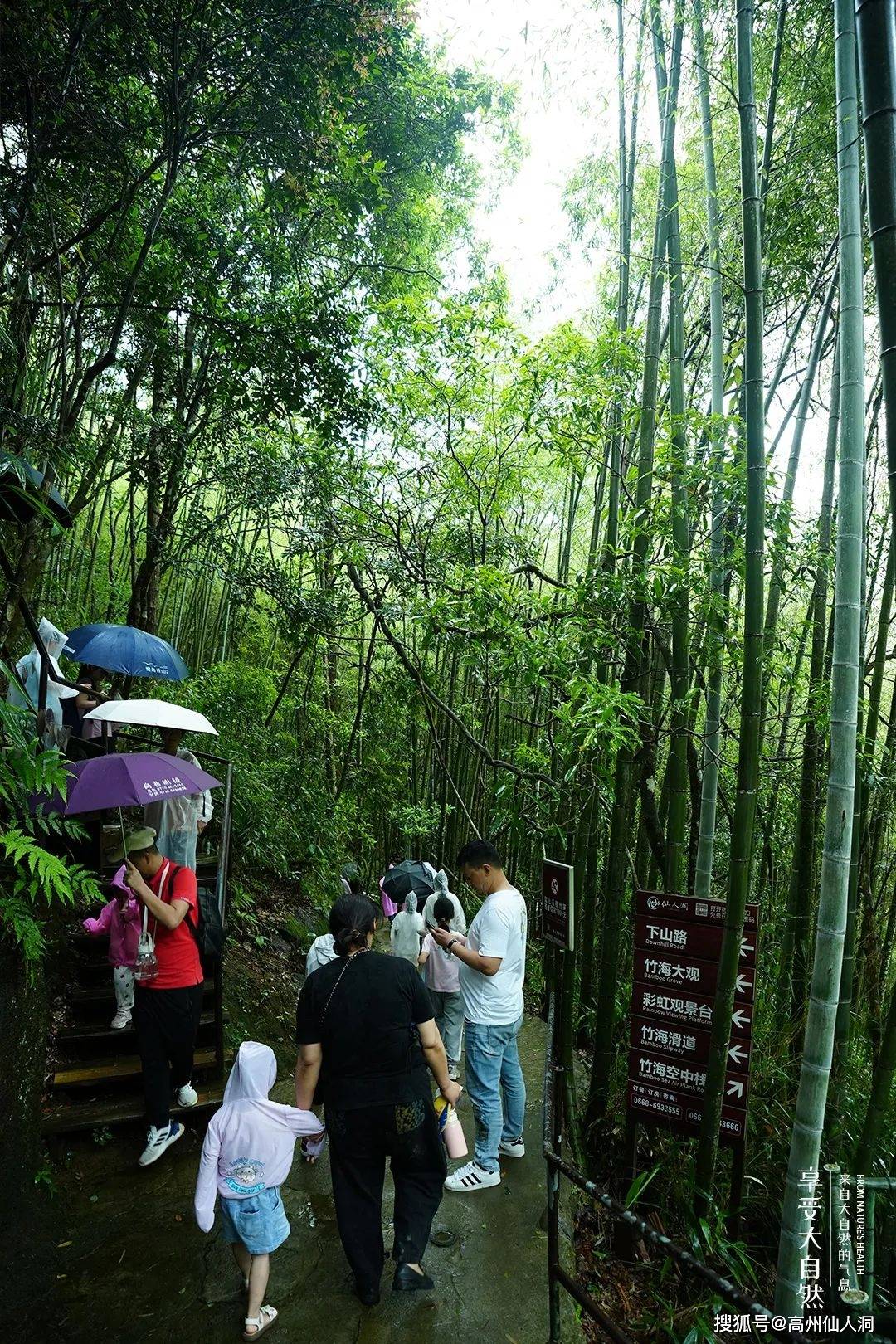 仙人洞景区大福利,六一对1.4米以下的儿童免门票,走起!