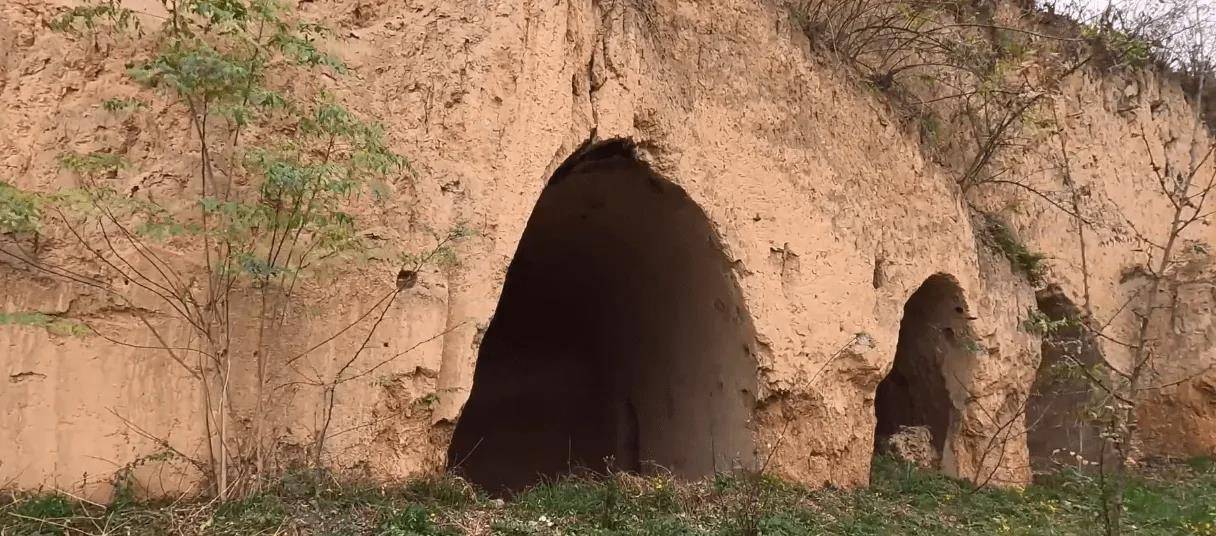 忙活了一阵子老赵正在树下喝水休息,突然"轰隆"一声,老赵心想完蛋了