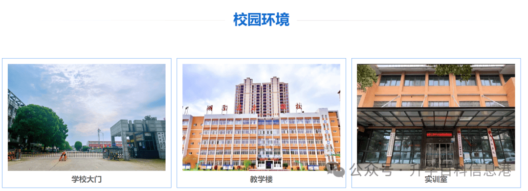 大学专业介绍怎么写_各大专业介绍_专业介绍语