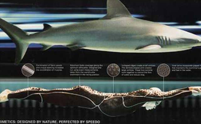 鲨鱼皮泳衣:"作弊"的高科技,7千一件只能穿6次,被泳联禁用