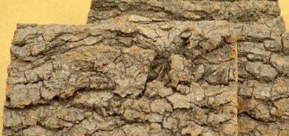 根据报道,杜仲所含的京尼平苷酸甲酯具有抗肿瘤的作用.