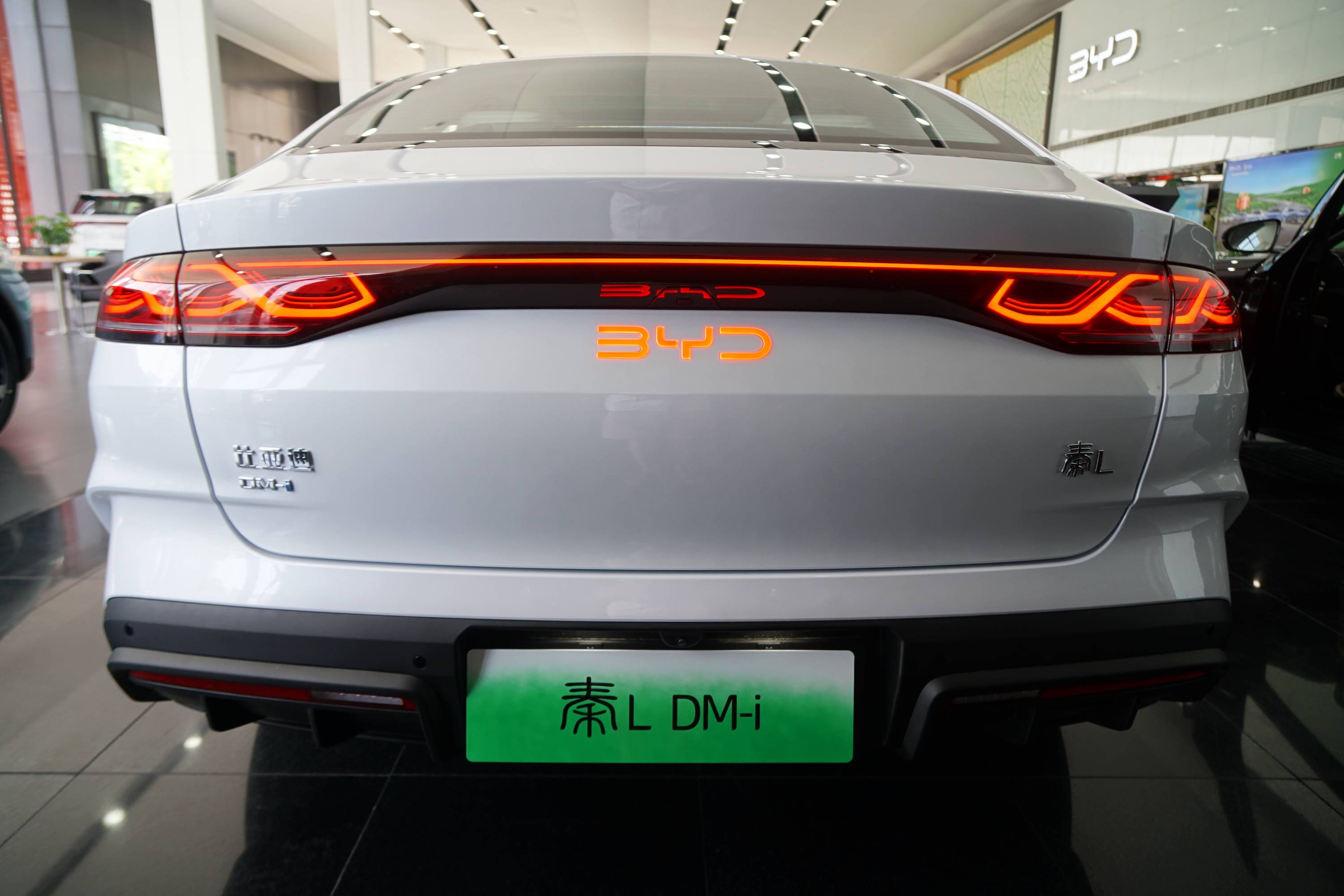 定一家人,比如蚌式机头盖和下溜的尾部曲线,还有中国结式尾灯都很神似