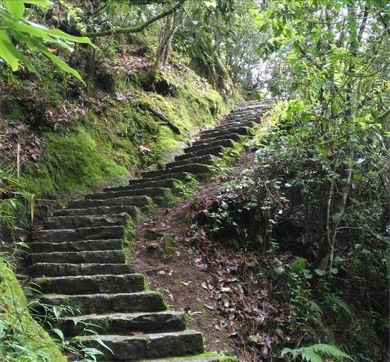 2000年,江西小伙遵遗嘱将父制成"木乃伊",供奉家中无人敢拜访