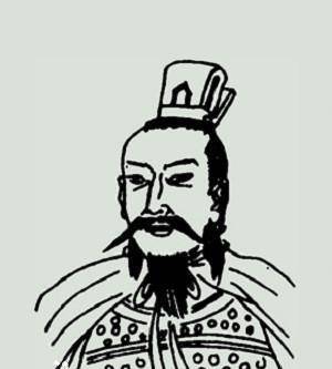 其实都是赐姓_杨忠_西魏_李虎