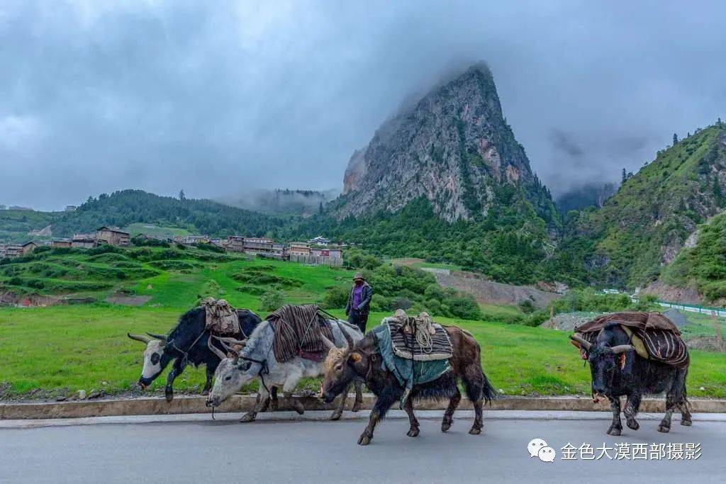 梦中的甘南,摄影的天堂_郎木寺_米拉日巴_安多