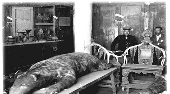 清朝有两只怪兽,被皇太极封为镇殿侯,如今收藏在沈阳故宫变这样