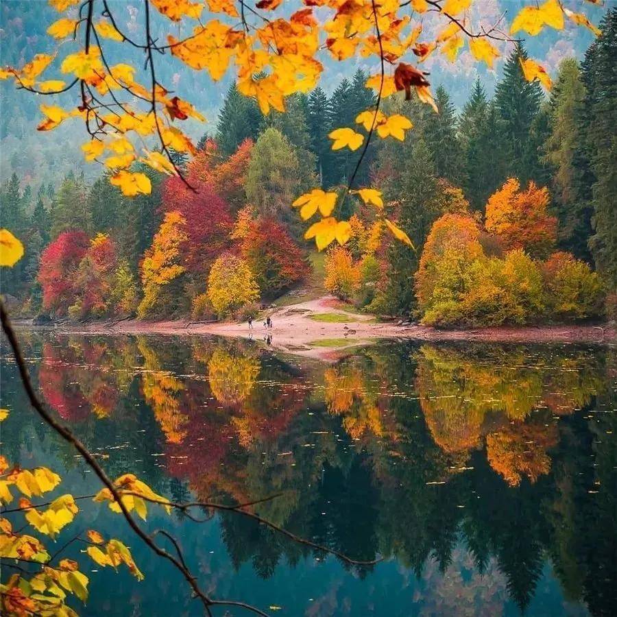 顶级绝美秋色美景,绚丽迷人