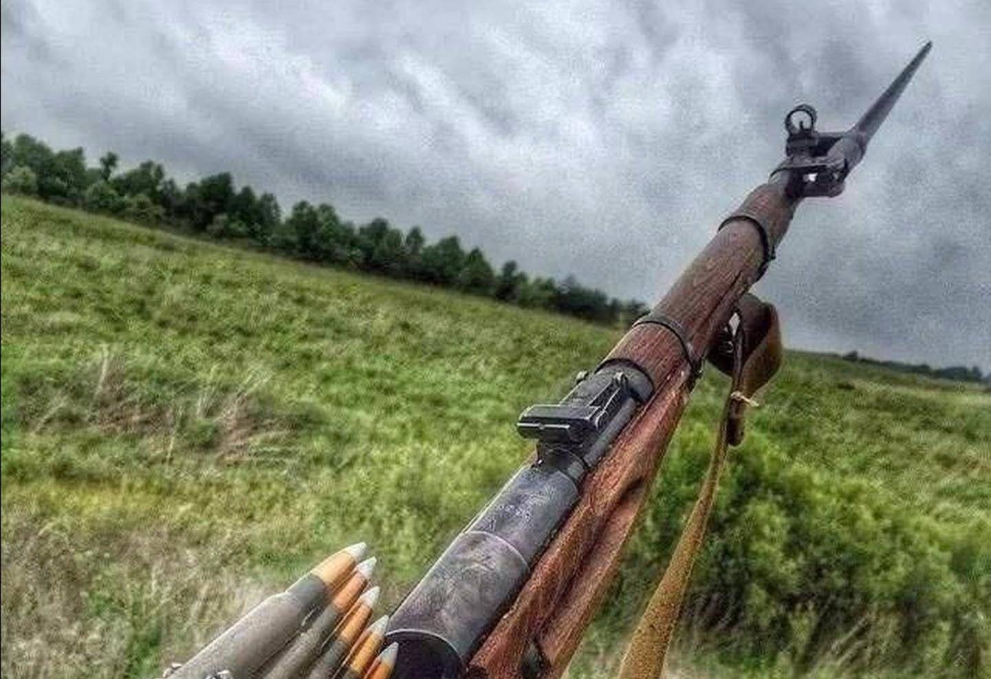 维塔利m1870步枪图片