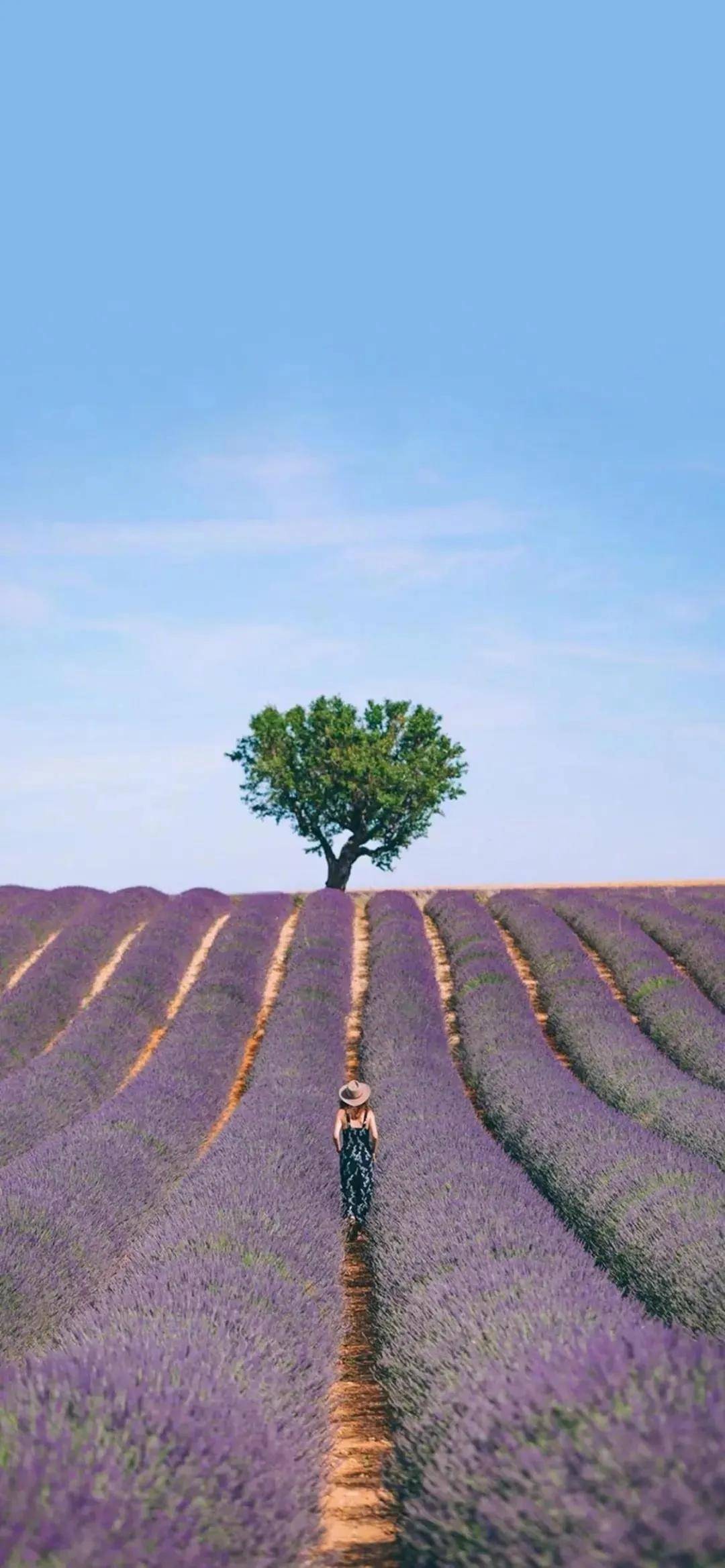 精美绝伦的风景,每张都能当手机壁纸