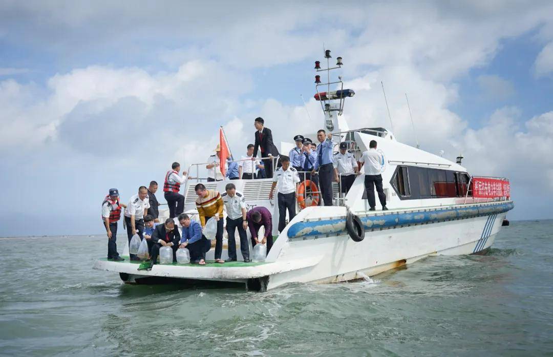 耕海牧渔,唱响"海洋牧歌"|"建设海上牧场 打造蓝色粮仓"特别报道