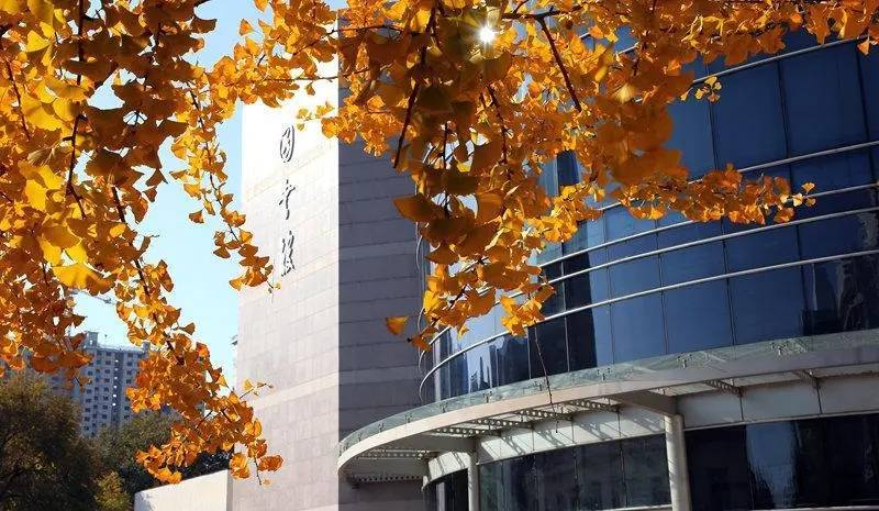 2024年北京理工大学sea国际本科2 2新加坡,马来西亚方向招生啦