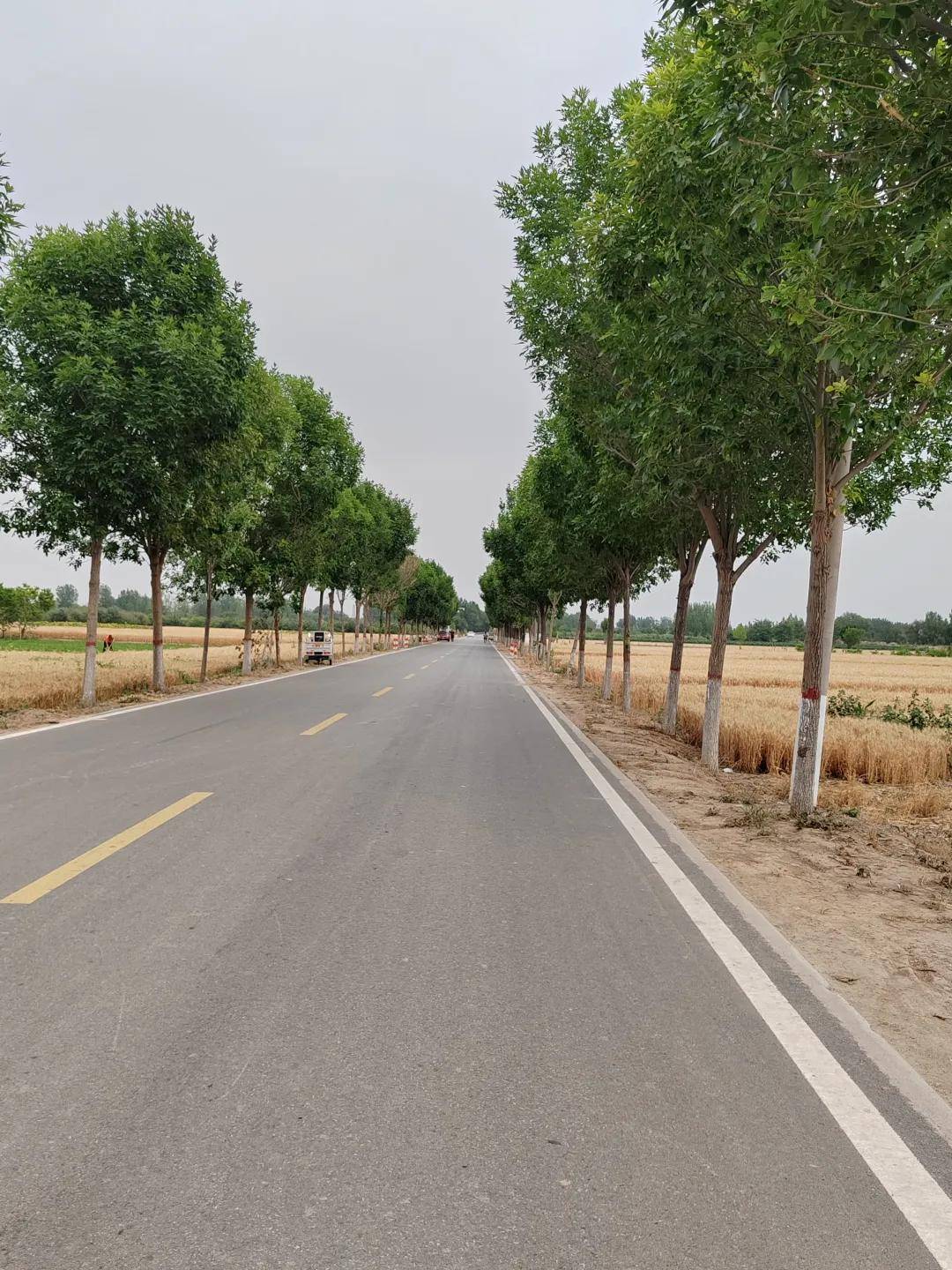 衡水市桃城区郑家河沿镇风光掠影