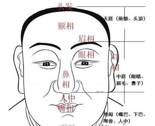 "面相术其实是很复杂