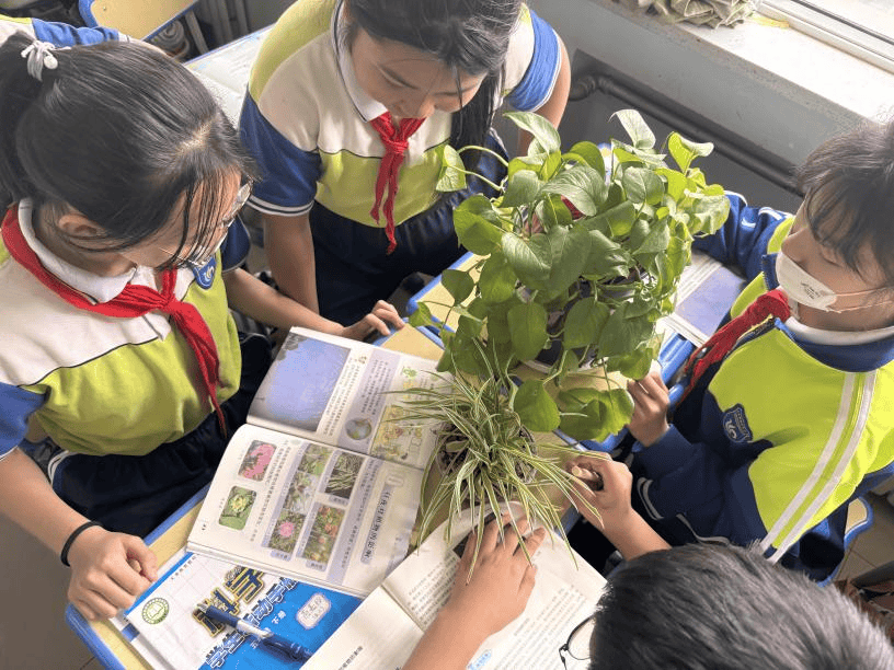 解密植物昼夜之谜 培养科学人文素养—和平小学"乐学思维"课堂展示