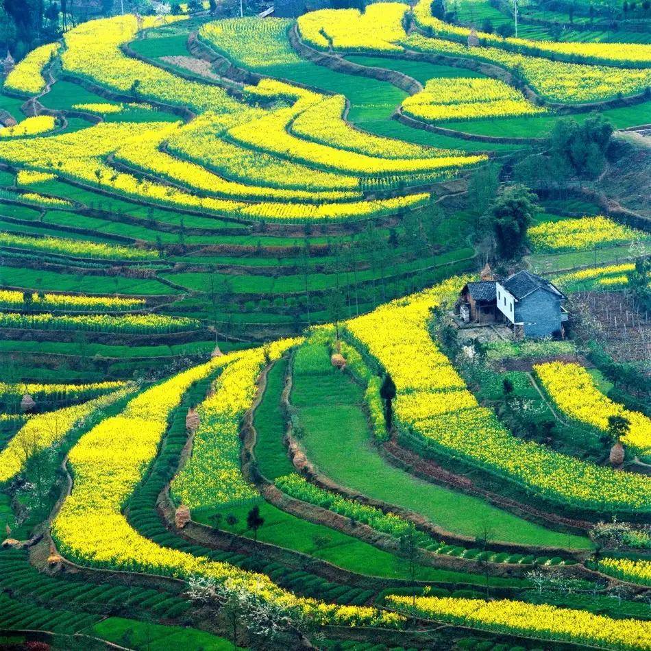 绝美山水田园风光图