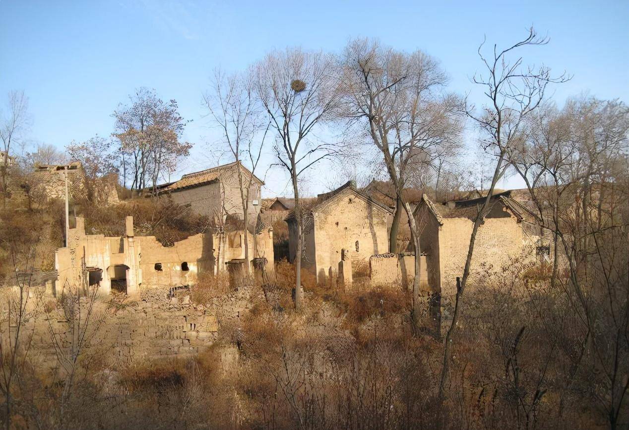 人贩子彭洪菊,逃亡途中被拐卖给老光棍,警方找到时已被打成偏瘫