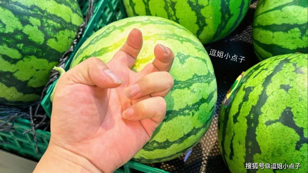 確認どうぞ♥西瓜の皮の色の斑入りです。 ブラトロオレンジ西瓜 - 宝 種苗株式会社