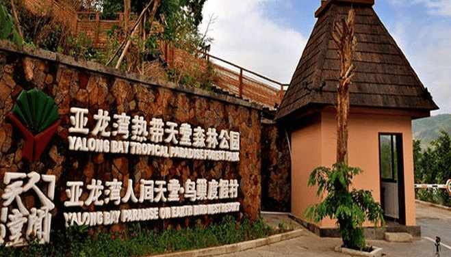 刚从海南回来,恋恋不舍,走着瞧旅行