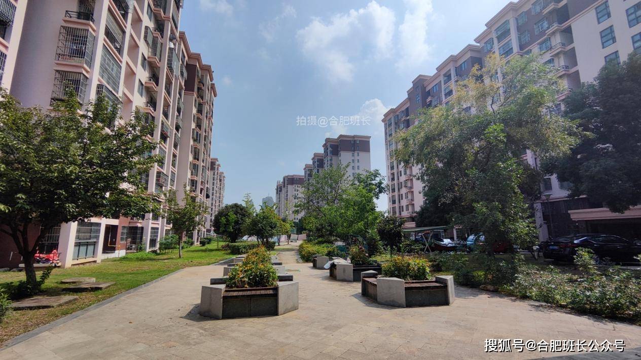 骆岗中央公园内,现在有这三个项目可以买!