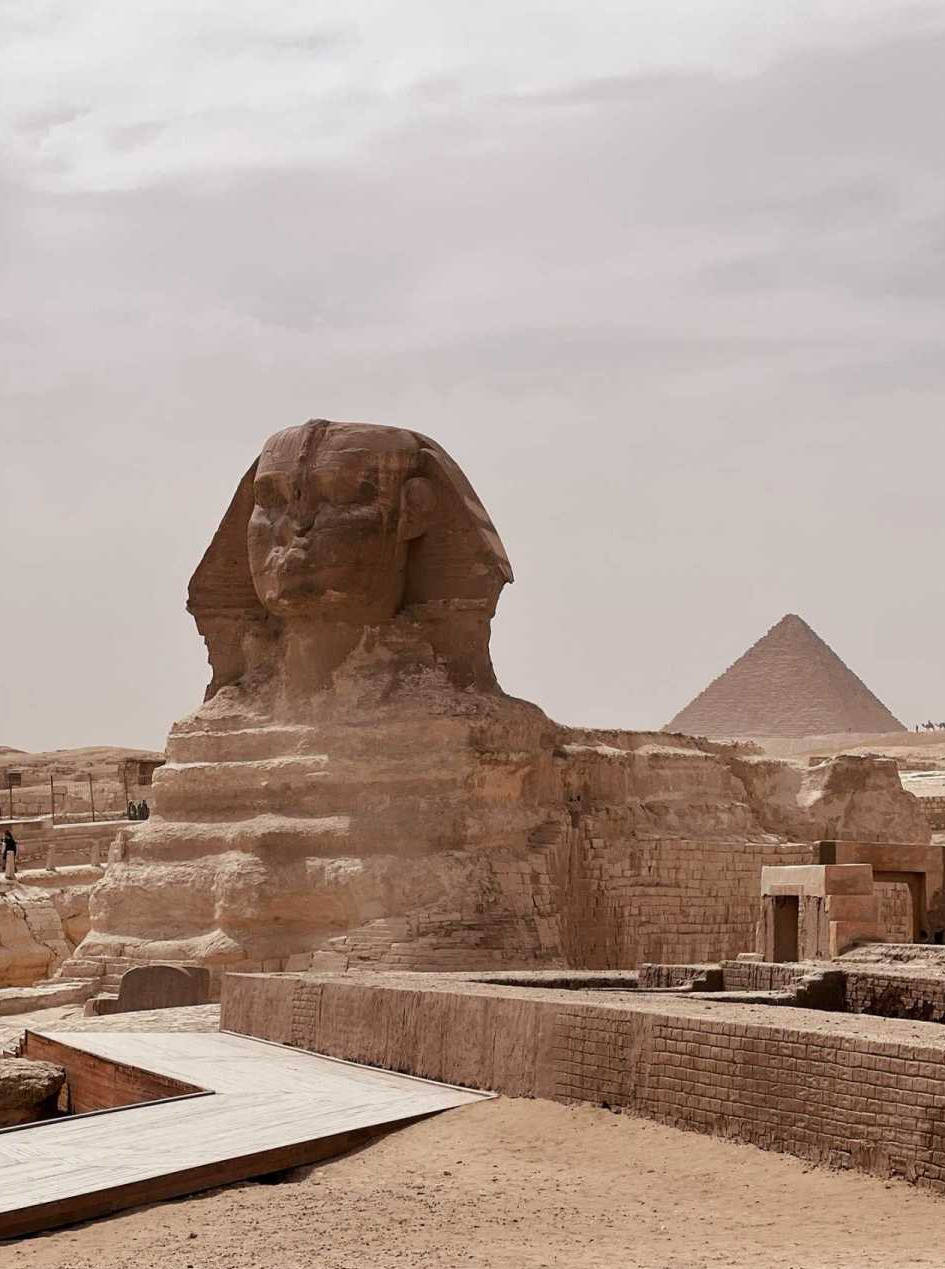   如果你下次想去埃及，
