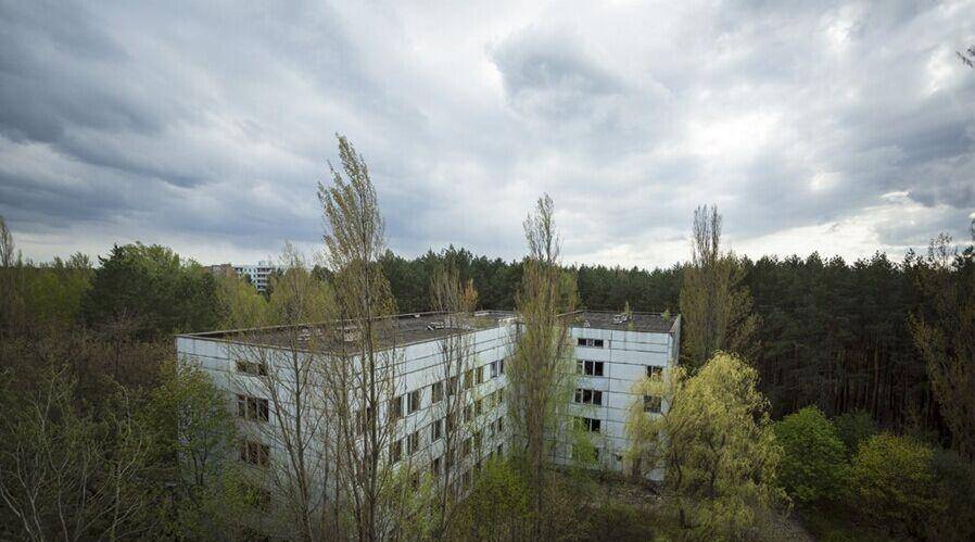 切尔诺贝利核电站旁的"鬼城":人类禁区,动物基因突变出现双头